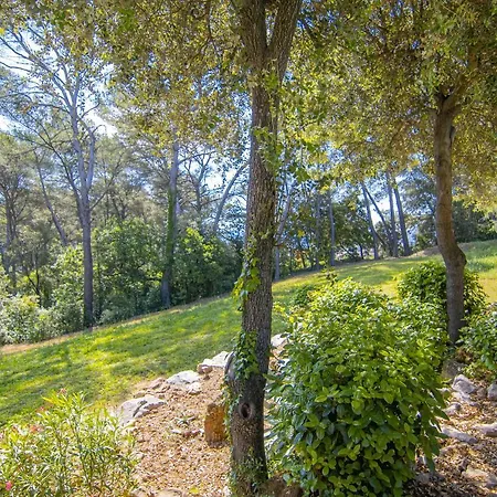 Des Bois Holiday home Le Muy